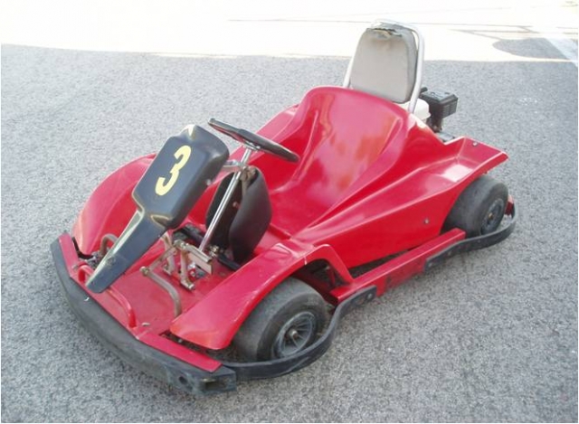  Sport Pony Kart 